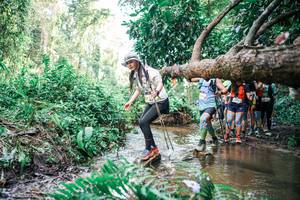 BIB: 
                            <button type="button" onclick="openModal(25514439)" class="btn btn-primary btn-sm float-right btn-popup" data-toggle="modal" data-target=".modal-high-quality">
                        <i class="fas fa-shopping-cart"></i> Add to Cart
                    </button>
                                            <button type="button" onclick="isThisMe(25514439, true)" class="btn btn-success btn-sm float-right btn-popup btn-isme hidden" data-toggle="tooltip" data-placement="bottom" title="นี่คือรูปของคุณใช่ไหม คลิกที่นี่เพื่อเอาเข้าอัลบั้ม">
                        <i class="fas fa-plus"></i> Add to album
                    </button>
                    <button type="button" onclick="isThisMe(25514439, false)" class="btn btn-warning btn-sm float-right btn-popup btn-isnotme hidden">
                        <i class="fas fa-ban"></i> Remove from album
                    </button>